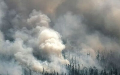 En Sibérie, le changement climatique déchaîne les feux de forêts